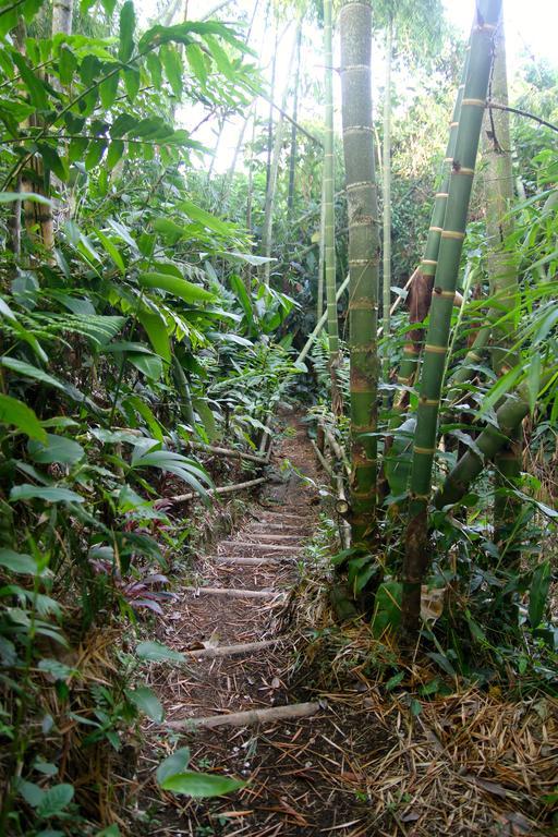 El Jardin De Los Colibries - Pereira, Risaralda ภายนอก รูปภาพ