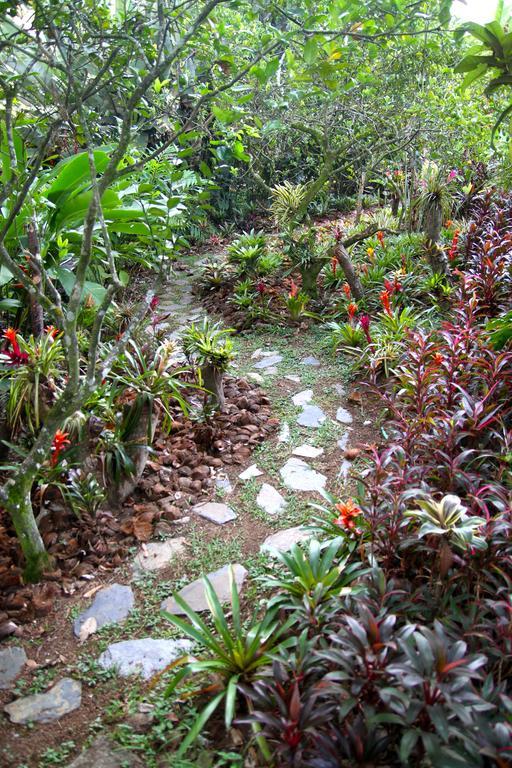 El Jardin De Los Colibries - Pereira, Risaralda ภายนอก รูปภาพ